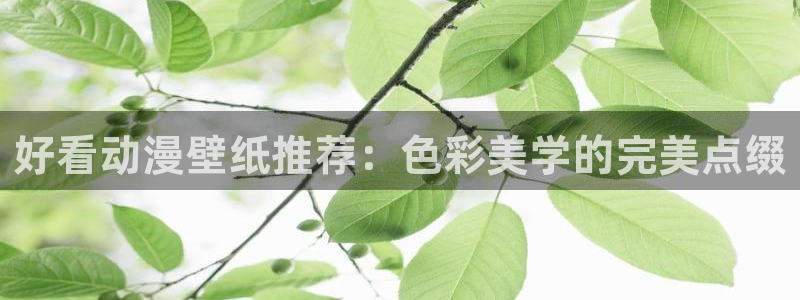 78动漫资料库打不开：好看动漫壁纸推荐：色彩美学的完美点缀