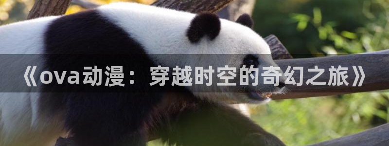 78动漫网页版登录入口：《ova动漫：穿越时空的奇幻之旅》