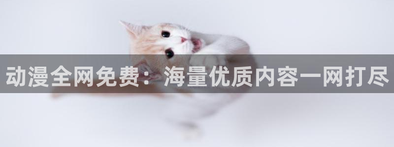 78动漫安卓：动漫全网免费：海量优质内容一网打尽