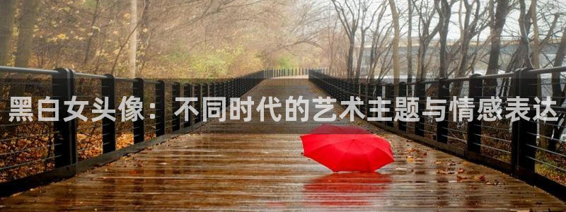 78动漫网线崩了：黑白女头像：不同时代的艺术主题与情感表达