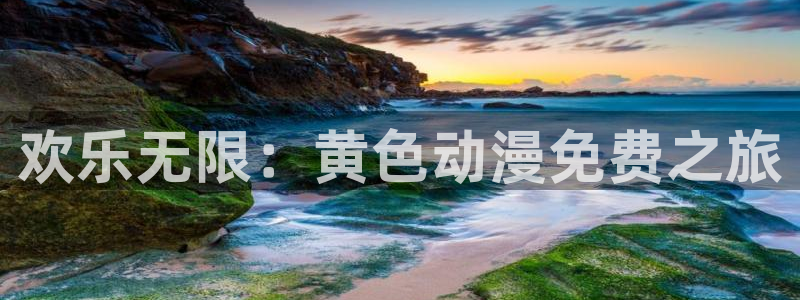 78动漫资料库打不开：欢乐无限：黄色动漫免费之旅