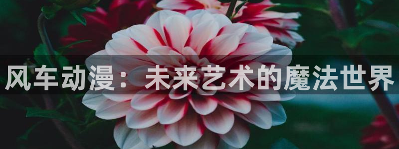 78动漫网页版登录入口：风车动漫：未来艺术的魔法世界